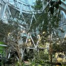 대왕판교로645번길 | 판교환경생태학습원 성남 겨울철 실내 아기랑 갈만한곳