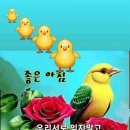 에서 Daum카페