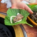 호매실 무한리필 맛집, 소고기와 돼지고기를 마음껏 먹는 회식의 달인 서수원 탑동점 후기