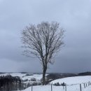 다두농장 | 삿포로 여행 내돈내산 비에이투어, 홋카이도랩 버스 투어 스탠다드