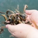 (주)남원추어탕 이미지