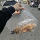 베이커리카페팡드몽드 이미지