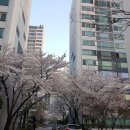 민백초등학교(꿈마을단지)_상 | 평촌신도시 꿈마을 현대아파트