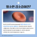 탄현 동물병원 이미지