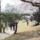 희원