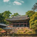 거목낚시 | 창덕궁 후원 입장료 예약 방법 총정리 | 부용지부터 연경당까지 완벽 가이드