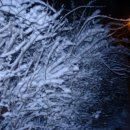 사곡1리 이미지