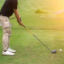 양정수지 이미지