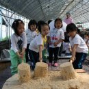 빛초롱어린이집 이미지