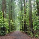 한라산둘레길안내센터 이미지