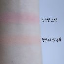 풀립농장 | 6월 지름