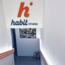 해빗 트레이닝 | 짐해빗청담점에서 체형분석 받고 시작한 HPT 후기 – 청담헬스장 추천