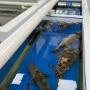 죽변수협회센타 이미지