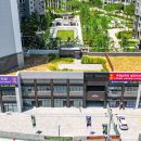 금두꺼비 공인중개사사무소 이미지