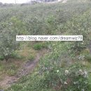 서오산농장 이미지