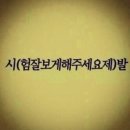 수정-48 | 비전공자 ADsP 합격후기, 독학, 공부방법, 가채점 (제48회)