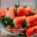 백석올미마을 | 당진 가볼만한곳 체험여행｜백석올미마을 전통한과 만들기 &amp; 딸기맨드류 킹스베리 딸기따기