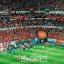 [기자수첩] 한국 축구의 '촌극', 최대 피해자는 팬들이다 이미지