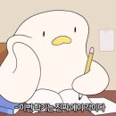 [공부] KBS 한국어능력시험(한능시) 어휘, 어법 공부법 | 시험만 3번 본 자의 영역별 팁