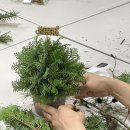 시온여성병원 이미지