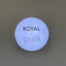 로얄엑스(ROYAL X) 이미지