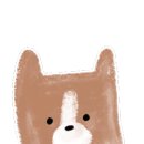 비디비맨즈왁싱