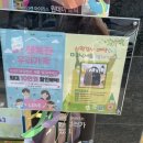 아이세이버안경 동천점 이미지
