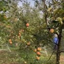 골드농장 이미지