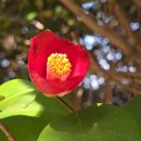 거제지심도 이미지