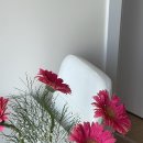 명언 - 의욕을 잃을 땐 이미지