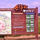 충남태안 신두리해안사구 이미지