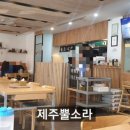 제주노조미 이미지