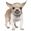 모던복싱 이미지