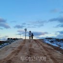 (주)제주세일여행사 이미지
