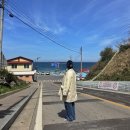 [도로]근로복지공단 삼거리2 | 묵호 여행 가볼만한곳 어달해변 어달삼거리 포토스팟 주말 후기