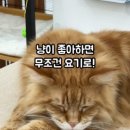 쿤이네집 이미지