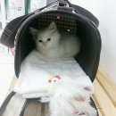 펫가든동물병원 이미지