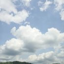 파주 벽초지수목원 수국 델피니움 꽃축제