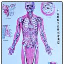 구리마사지, 몸이 남아나질 않아! 그래서 찾아간 구리 약손힐링센타 후기