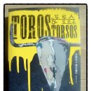 토로스(Toros)