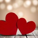 청솔어린이집 이미지