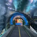 지에스25잠실월드 이미지