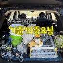 화평카센타 | [호주워홀] 타일러 5주차 리얼 후기 - 현장에 나가서야 알게 된 ‘기준’의 중요성