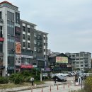 기흥호수공원 | 용인 기흥호수공원 황화 코스모스 위치 후기