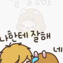 아담과이브 이미지
