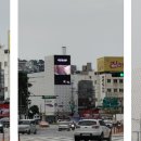 피아비스콤 이미지