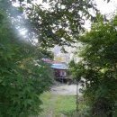 허브와야채 이미지