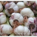 산약초 동의보감 이미지