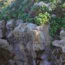 슬도주차장 이미지