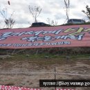 풍기할인마트